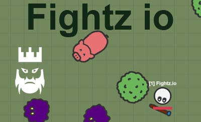 Fightz.io - play on