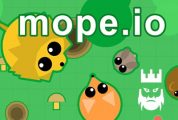 Mope.io