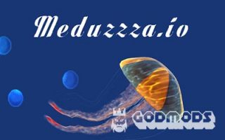 Meduzzza.io